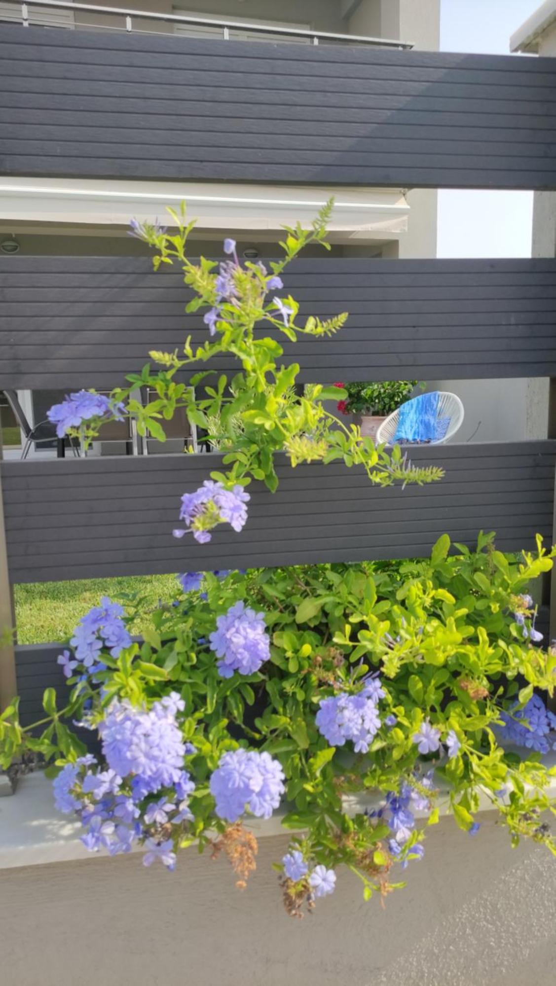 To Helidoni Apartment & Gardens Nikiti  Buitenkant foto